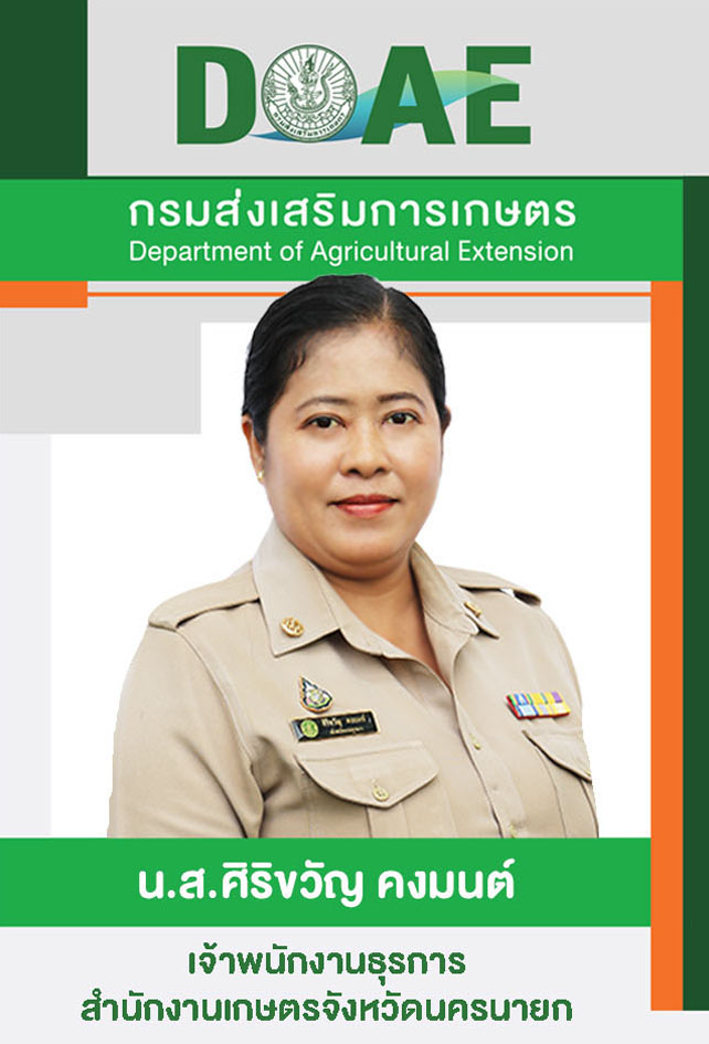 ศิริขวัญ คงมนต์