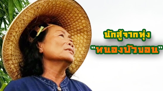นักสู้จากทุ่งหนองบัวขอน