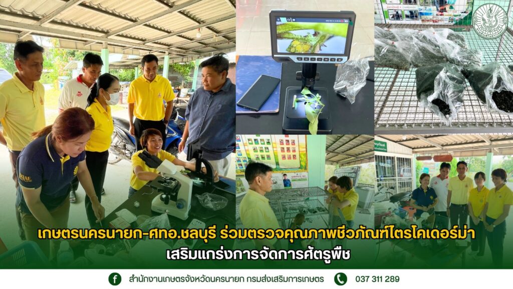 ภาพปกข่าว